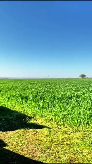 Buğday tarlasında dron ile Proverim mikrobiyal gübre uygulaması — saha çekimi
